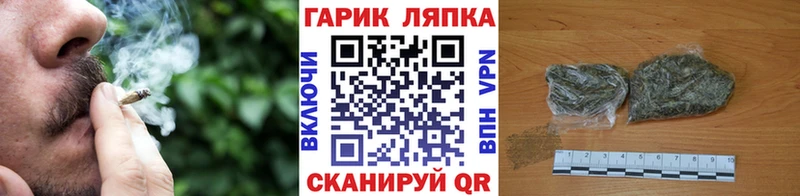 ГАШ гарик Павловская