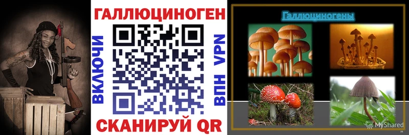 Псилоцибиновые грибы прущие грибы  мега ссылка  Павловская 